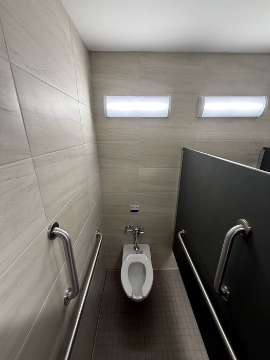 Accessible toilet stall with beige large format plank wall tile and small square mosaic floor